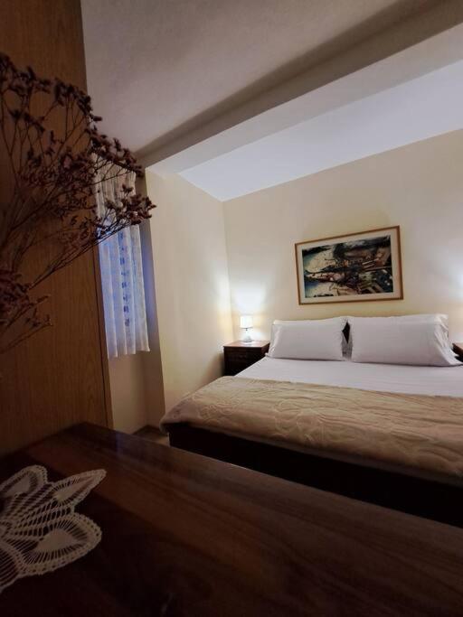 Quiet, Cozy, Luminous Apartment Tirana Exterior photo